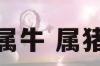属猪午时出生配属牛 属猪午时出生的命运