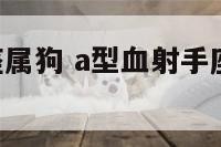 A型血射手座属狗 a型血射手座最易成功的职业