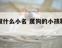 属狗适合取什么小名 属狗的小孩取什么名字最好呢