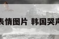 韩国哭表情图片 韩国哭声完整版