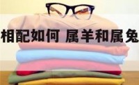 属羊和属兔相配如何 属羊和属兔相配如何相处