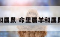 命里属羊和属鼠 命里属羊和属鼠的相配吗