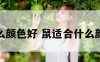 鼠的穿什么颜色好 鼠适合什么颜色的衣服