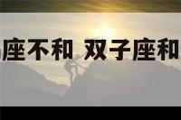双子座和摩羯座不和 双子座和摩羯座可以在一起吗
