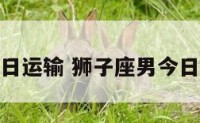 狮子男今日运输 狮子座男今日运势不好