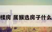 属猴选楼房 属猴选房子什么楼层好