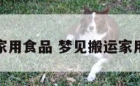 梦见搬运家用食品 梦见搬运家用食品回家