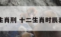十二生肖刑 十二生肖时辰表大全