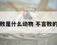 不言败是什么动物 不言败的成语