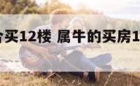 属牛适合买12楼 属牛的买房13栋12层好不好