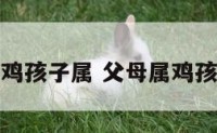 父母属鸡孩子属 父母属鸡孩子属龙