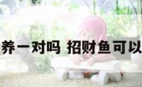 招财鱼能养一对吗 招财鱼可以养一对吗