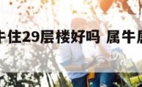 属虎和属牛住29层楼好吗 属牛属虎的住几层好
