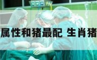 事业什么属性和猪最配 生肖猪事业搭档