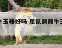 属鼠佩戴牛玉器好吗 属鼠佩戴牛玉器好吗女生
