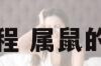 羊年属鼠运程 属鼠的人羊年运势