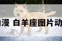 白羊座图片动漫 白羊座图片动漫少女简笔画