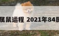 今年84属鼠运程 2021年84属鼠运势