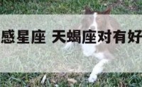 天蝎座的好感星座 天蝎座对有好感的人的态度
