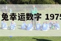 1975年属兔幸运数字 1975年兔的幸运数