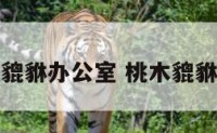 桃木貔貅办公室 桃木貔貅摆件