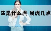 属虎几点出生是什么虎 属虎几点钟出生最享福命