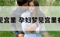 孕妇梦见宫里 孕妇梦见宫里有人死了