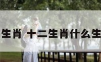盖房十二生肖 十二生肖什么生肖会盖房