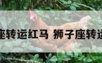 狮子座转运红马 狮子座转运头像