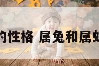 属兔和属蛇的性格 属兔和属蛇的性格特点