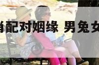 男兔女蛇生肖配对姻缘 男兔女蛇 婚姻状况 相配