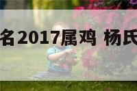 杨氏男孩起名2017属鸡 杨氏男宝宝名字洋气