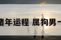 属狗男性猪年运程 属狗男一生的财运