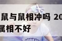 2020年属鼠与鼠相冲吗 2020年的鼠年跟哪些属相不好