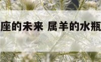 属羊的水瓶座的未来 属羊的水瓶座适合什么职业