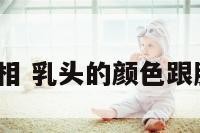 乳头颜色看相 乳头的颜色跟肤色有关吗?