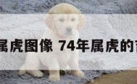 1974年属虎图像 74年属虎的吉祥头像