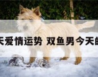 双鱼男今天爱情运势 双鱼男今天的感情运势