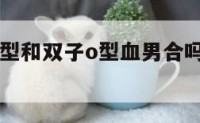 白羊女a血型和双子o型血男合吗 白羊女配双子女