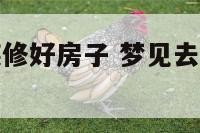 梦见去看刚装修好房子 梦见去看刚装修好房子的人