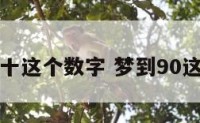 梦到九十这个数字 梦到90这个数字