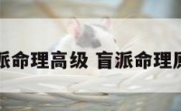 盲派命理高级 盲派命理原理