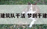 梦见建筑队干活 梦到干建筑活