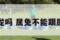 属兔的忌讳龙吗 属兔不能跟属龙在一起吗