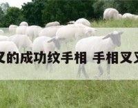 有叉的成功纹手相 手相叉叉纹