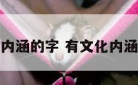 有文化内涵的字 有文化内涵的字谜