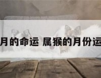 属猴人每月的命运 属猴的月份运势及运程