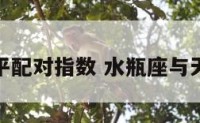 水瓶与天平配对指数 水瓶座与天平的配对