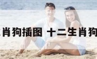 十二生肖狗插图 十二生肖狗的照片