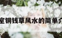 卧室铜钱草风水的简单介绍